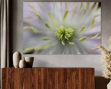 CloseUp Flower von Vincent van Unen