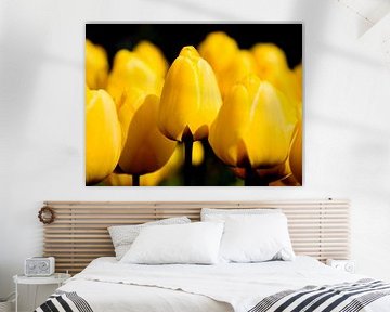 Bloemperk met Gele tulpen tegen een zwarte achtergrond