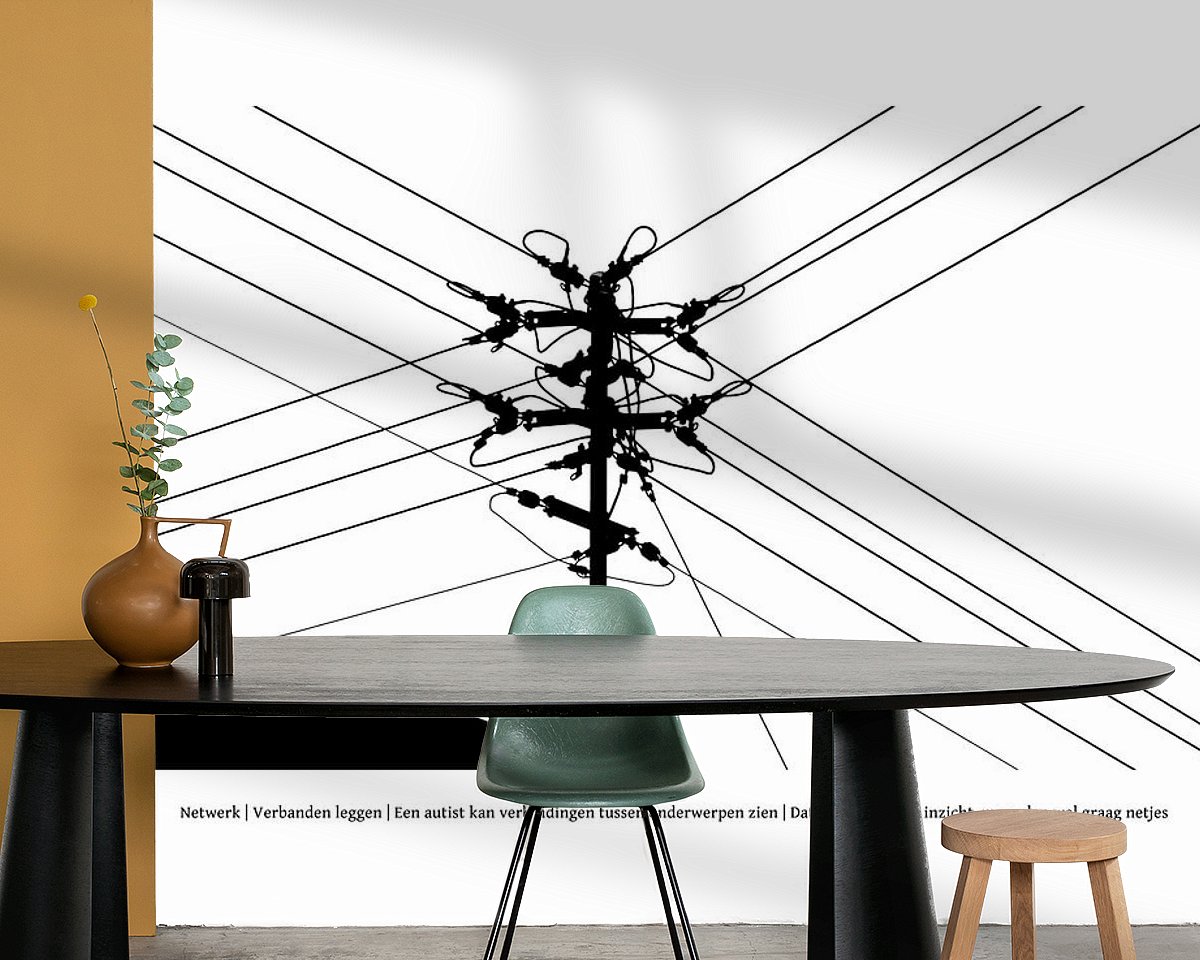 Voorbeeld van het werk in een kamer