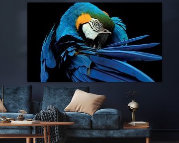Papegaai - Ara in blauw met goed duidelijk zijn: Snavel, Veren en Vleugels van Designer