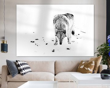 minimalistische wolf. wolf vrouwtje in de sneeuw, mooi sterk dier in de winter. zwart en wit van Michael Semenov