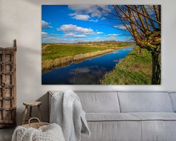 Landschaft einer Kopfweide in der Nähe eines Grabens in Giethoorn. von Maarten Salverda