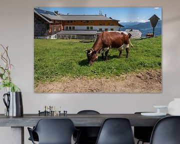 Emberger Alm
