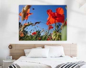 Mohn und Hummel von Liselore Gomes