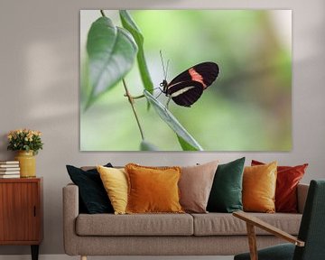 Schmetterling auf einem Blatt mit schönem, verschwommenem Hintergrund von Kim de Been