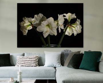 Amaryliss bouquet against background in black by Atelier Liesjes