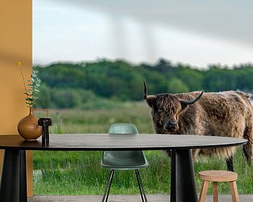 Hooglander bollenkamer Texel van Texel360Fotografie Richard Heerschap