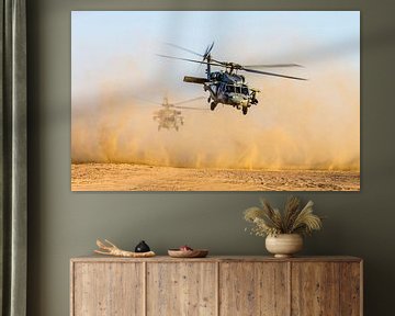 Seahawk marine helicopter in the desert by Atelier Liesjes