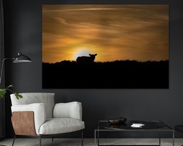 Lammetje Texel zonsondergang van Texel360Fotografie Richard Heerschap
