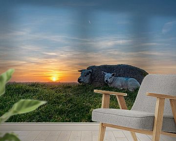 Lammetjes Texel zonsondergang van Texel360Fotografie Richard Heerschap