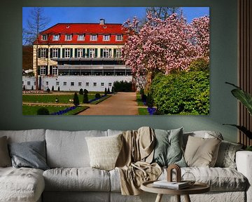 Panorama du magnolia