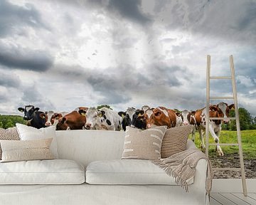 Nieuwschierige koeien van Bert Visser
