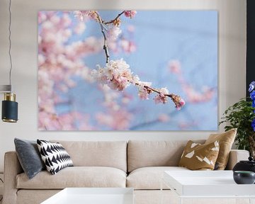 Cherry blossom by Marlous de Raad
