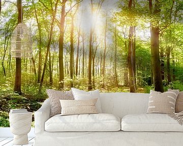 Natural forest in spring by Günter Albers