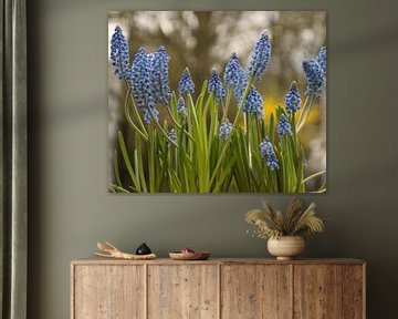 A spring bunch of flowers for you by Jolanda de Jong-Jansen