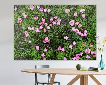 Des fleurs dans la mousse sur Mickéle Godderis