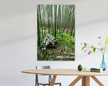 Arashiyama in het noorden Kyoto van Mickéle Godderis