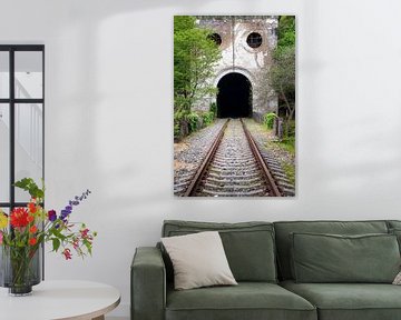 Verlassener Eisenbahntunnel. von Roman Robroek