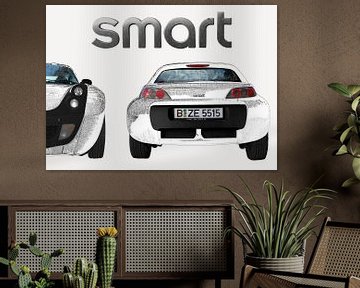 SMART Roadster in grafiet wit