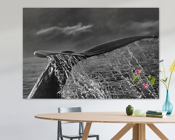 Staart van een bultrug (walvis) met waterdruppels van Anne Ponsen