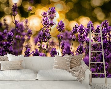 Lavendel in Gold von Hilda Koopmans