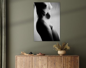 Weiblicher Körper - Nackte Frau, in Nahaufnahme fotografiert.  #0152 von Photostudioholland