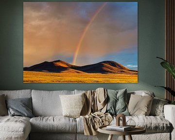 Ein Regenbogen in Nevada von Henk Meijer Photography