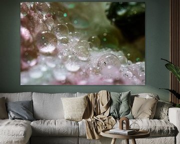 Lelie met waterdruppels (macro-foto) van Eddy Westdijk