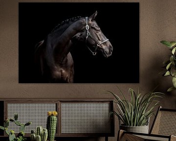 Schwarzes Pferd vor schwarzem Hintergrund von Lotte van Alderen