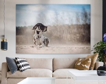 Great Dane in the sand by Lotte van Alderen