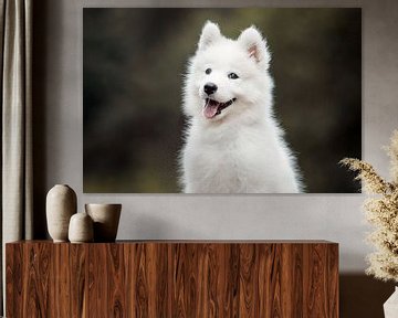 Vrolijke Samojeed puppy | Honden fotografie print van Lotte van Alderen