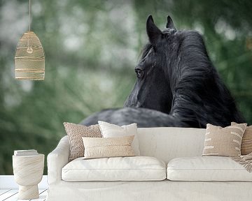 Friesian horse in winter by Lotte van Alderen