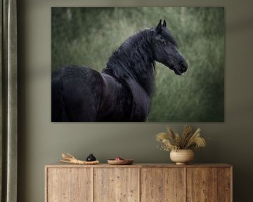 Friesian horse in winter by Lotte van Alderen