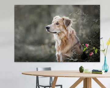 portret hond zijprofiel zomers van Lotte van Alderen