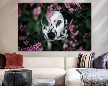 Dalmatiër hond tussen de bloemen van Lotte van Alderen