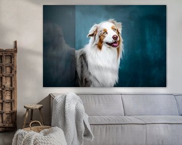 Australian Shepherd hond van Lotte van Alderen