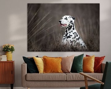 Dalmatiër hond tussen de heide van Lotte van Alderen