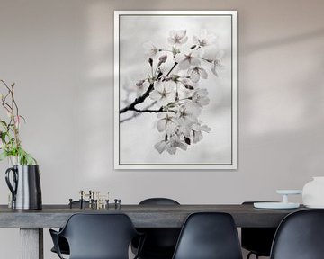 japanse bloesem van Nanda Nieuwhoff-de Groot