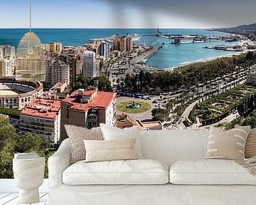 Panorama (3:1) van Malaga van René Weijers