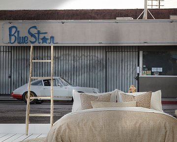 Magnus Walker Porsche 911 STRII by Maurice van den Tillaard