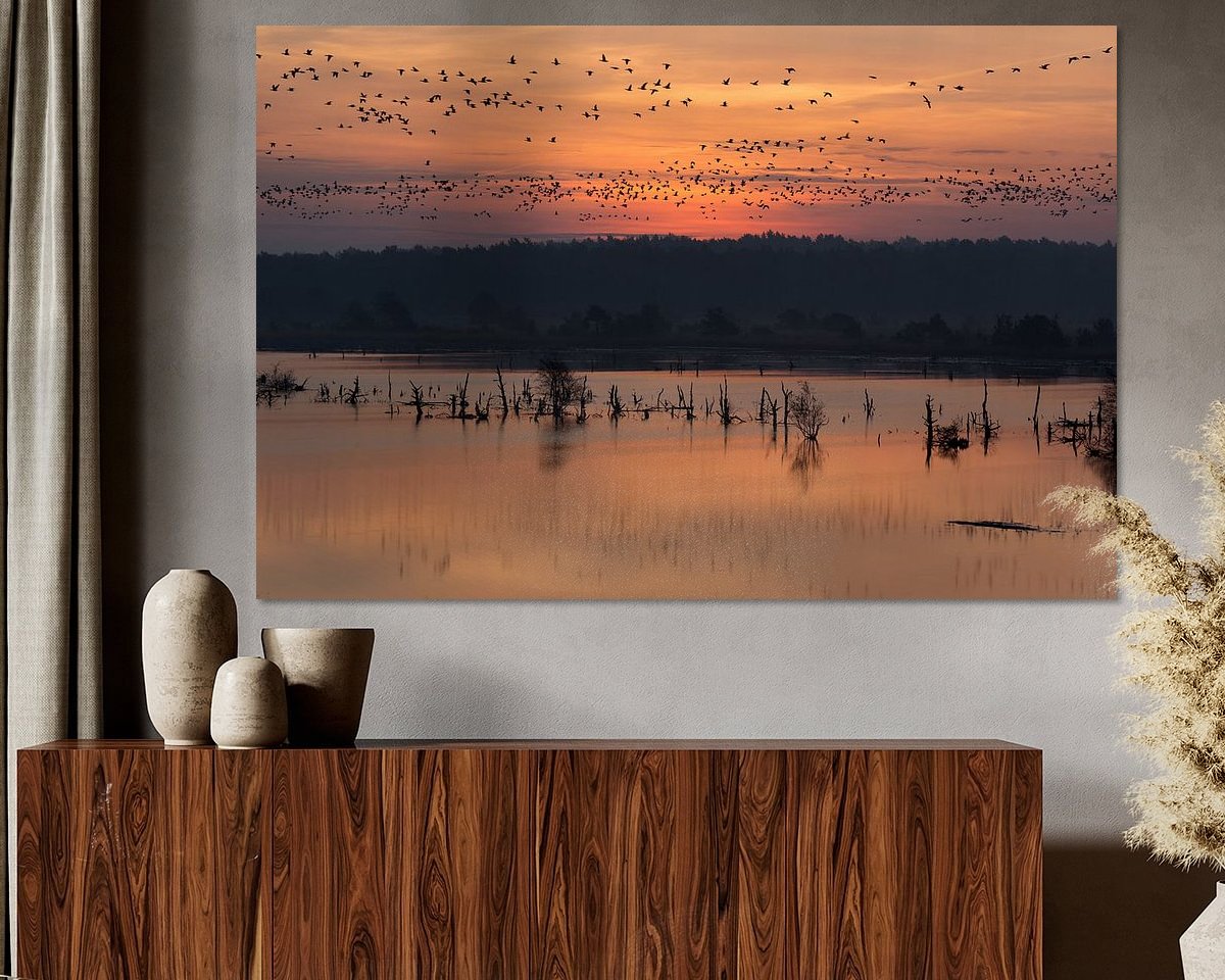 Voorbeeld van het werk in een kamer