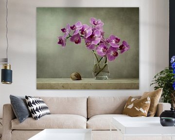 Picturesque orchid by Joske Kempink
