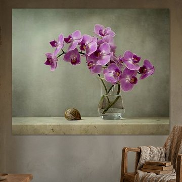 Une orchidée pittoresque