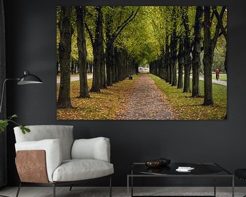 Une avenue de rêve avec des feuilles tombantes et colorées en automne sur Fabian Bracht