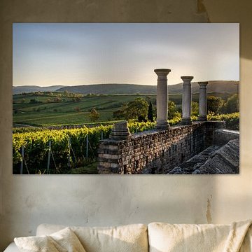 Römerkelter in Ungstein bei Bad Dürkheim an der Weinstraße von Fabian Bracht