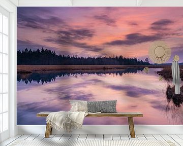 Sonnenuntergang an einem Teich in Drenthe. von Yvon van der Laan