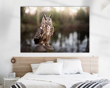 Owl on the waterfront by Aisa Joosten