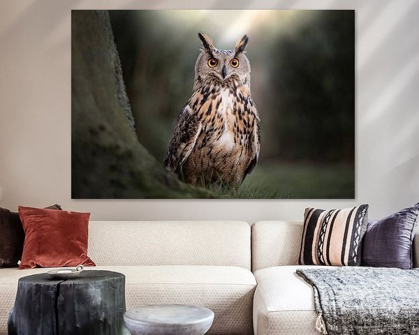 Peekaboo Owl in the forest