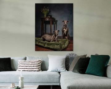 Windhunde mit Stil von Aisa Joosten