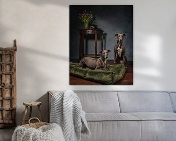 Sighthounds in style by Aisa Joosten